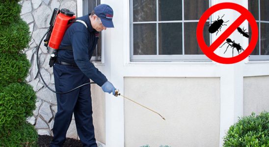Altınekin Dezenfeksiyon böcek ilaçlama ve haşere kontrolü — ilaclama-tr.com
